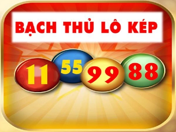 Soi lô cầu kép là gì? Các loại soi lô cầu kép phổ biến